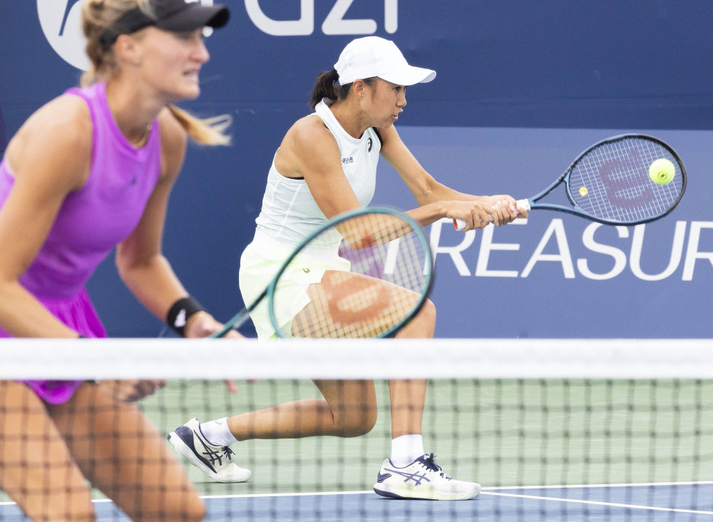 了新的增长 了新的增长