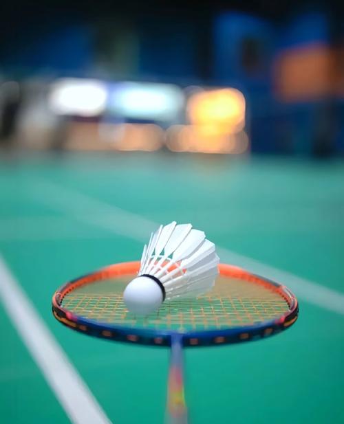 材表现与社 材表现与社